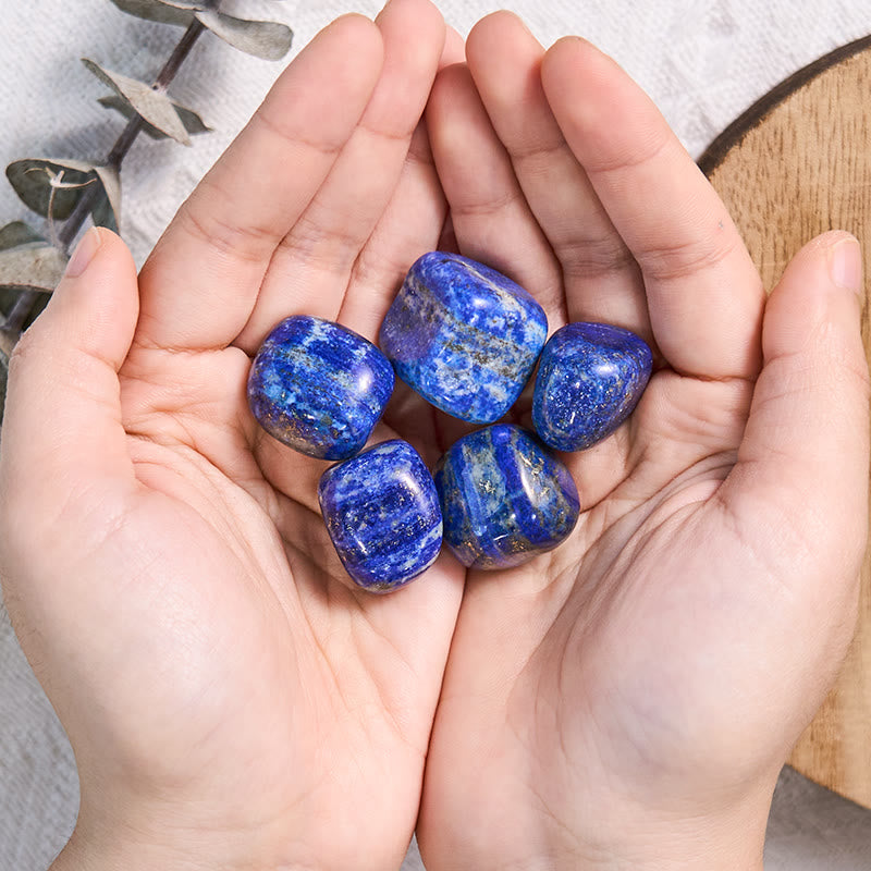 Olivenorma Poliertes Lapislazuli-Set mit natürlichen Trommelsteinen