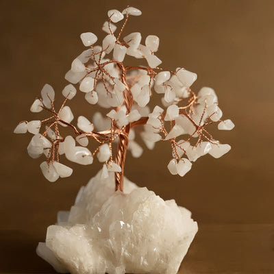 Olivenorma Natürlicher weißer Chalcedon Reiki-Kristall Bonsai Feng Shui Baum - Weißer Chalcedon - image 1