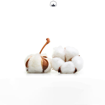 Olivenorma Bunte, knöchellange, zehenfreie Pilates-Socken für Damen, rutschfeste Yoga-Socken - image 25