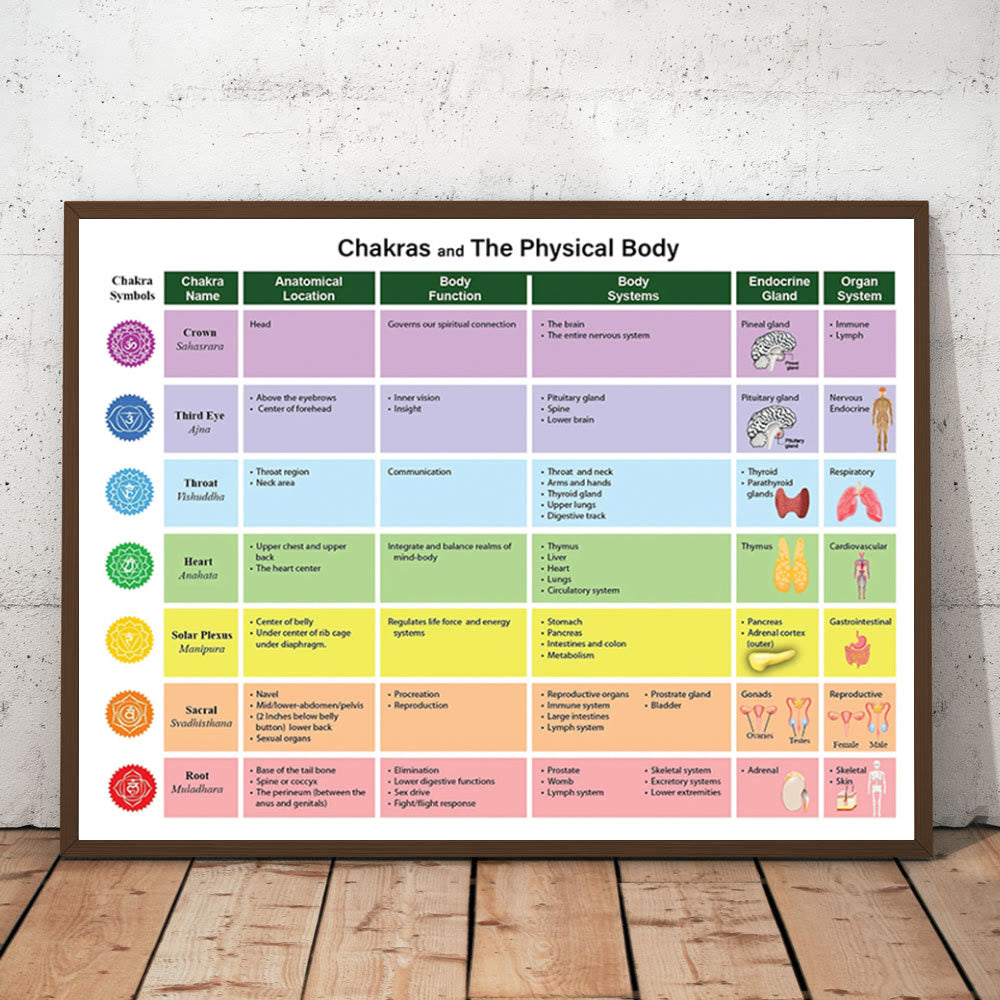 Olivenorma Chakras &amp; Der Körper - Druckbares Diagrammposter