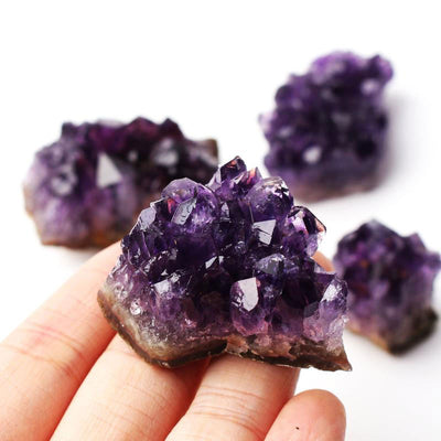 Olivenorma Amethyst Heilungsdekoration 