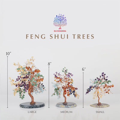 Olivenorma Schutz Bernstein Feng Shui Baum