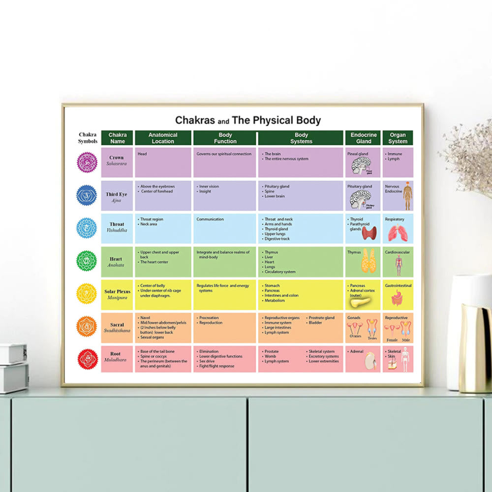 Olivenorma Chakras &amp; Der Körper - Druckbares Diagrammposter