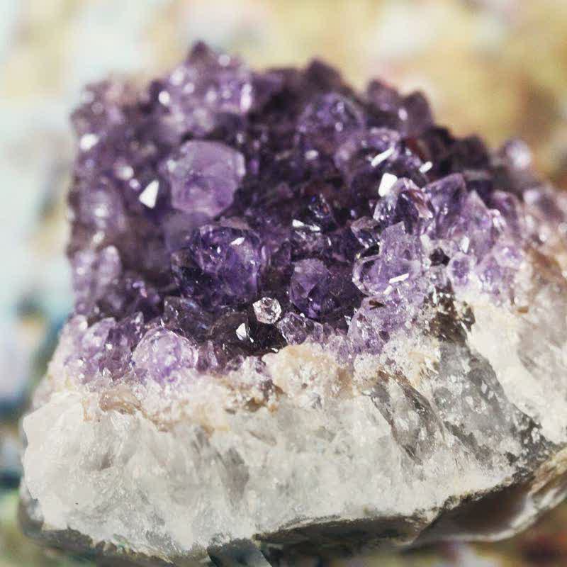 Olivenorma Amethyst Heilungsdekoration 